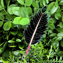 Feather Quill | Acrylic Bookmark