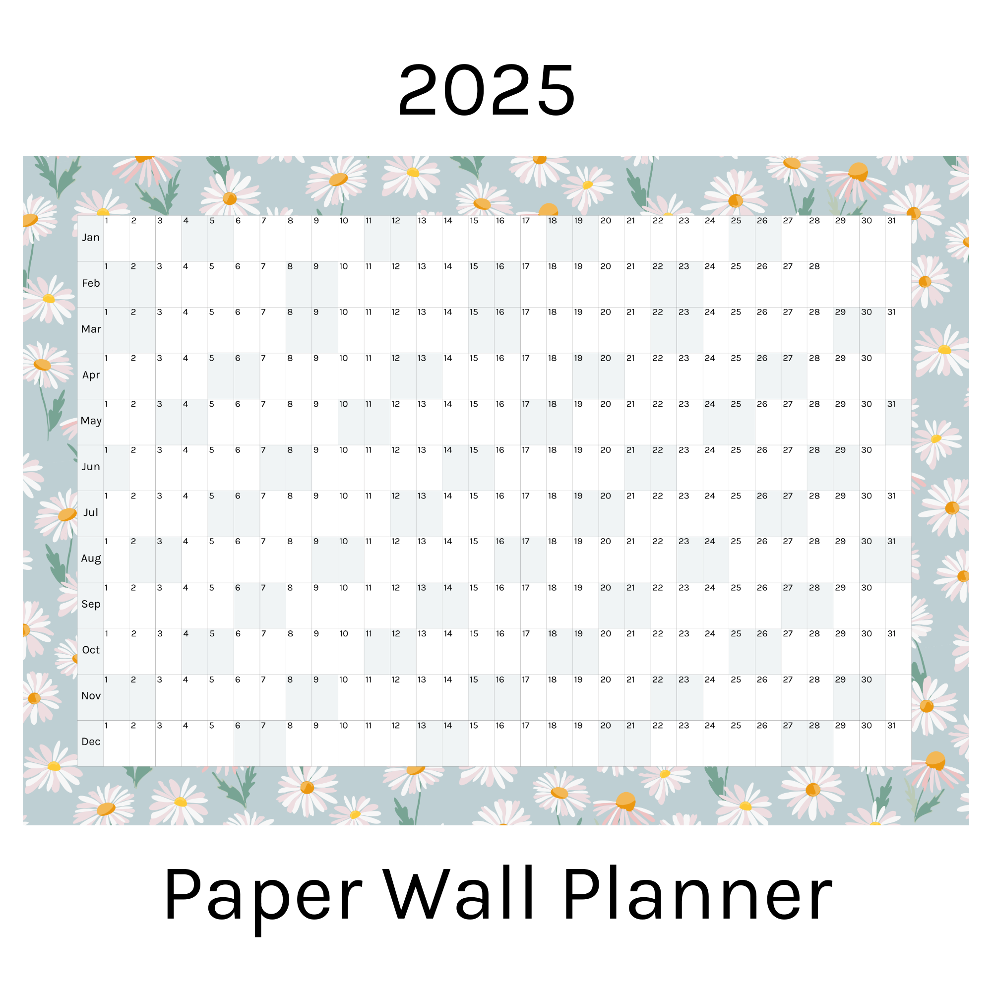 Horizontal 2025 Paper Wall Planner | Daisy Lane