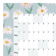 Horizontal 2025 Paper Wall Planner | Daisy Lane