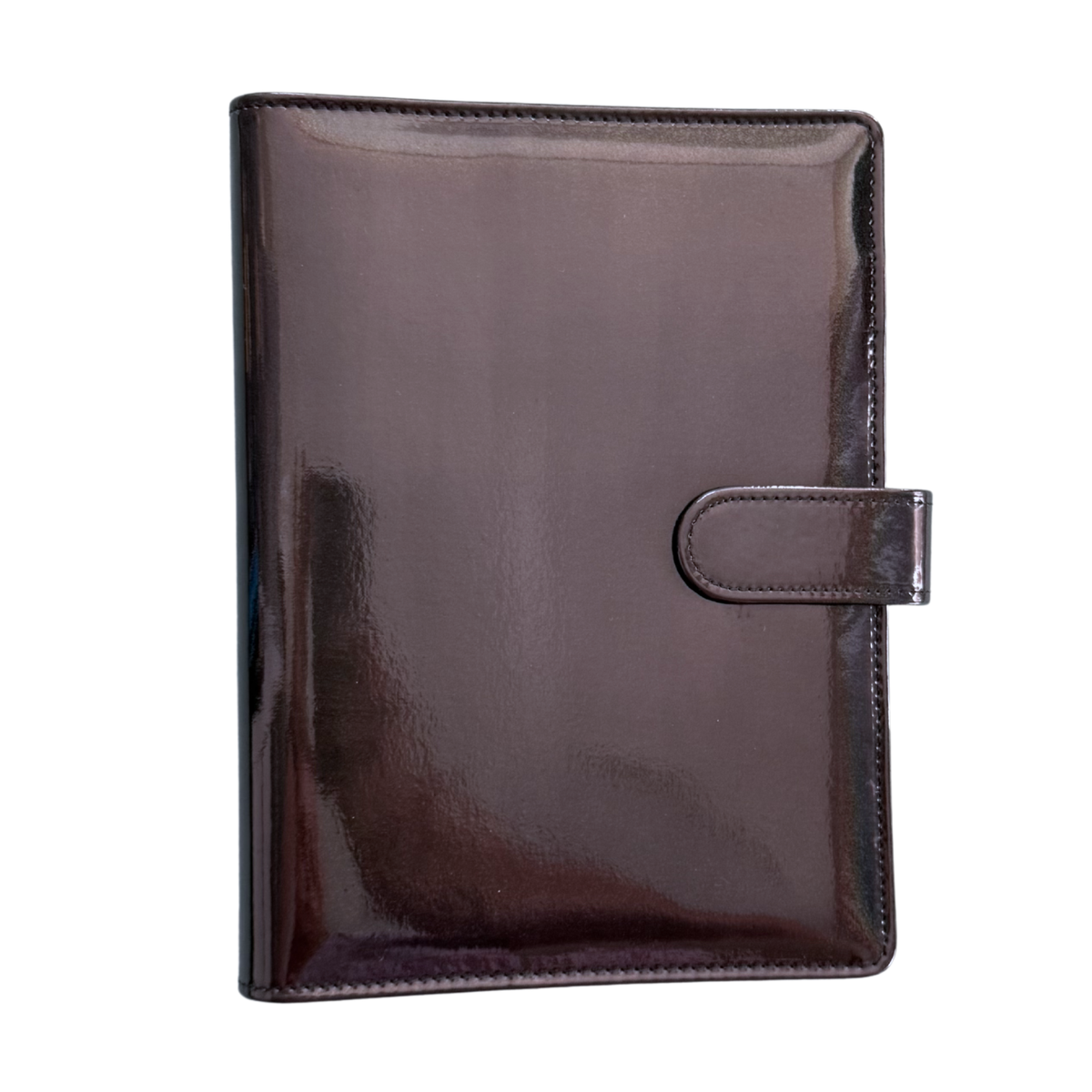 Loose Leaf 6-ring Binder A5 Planner Cover | Black Moonstone